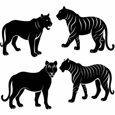 Beyaz arka planda dört siyah kaplan silueti.