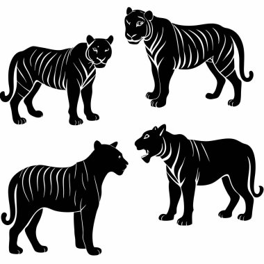  Beyaz arka planda dört siyah kaplan silueti.