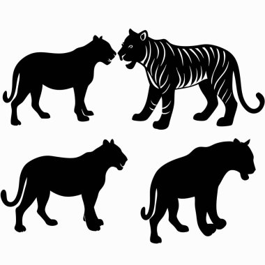 Beyaz arka planda dört siyah kaplan silueti.