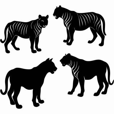 Beyaz arka planda dört siyah kaplan silueti.