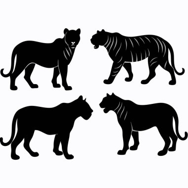 Beyaz arka planda dört siyah kaplan silueti.