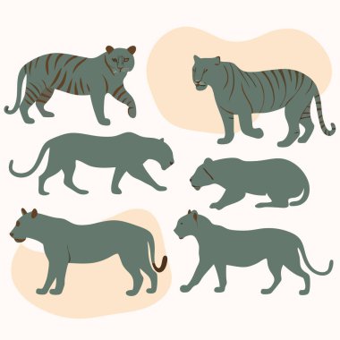 Beyaz arka planda kaplan siluetleri ve çizgili kaplan çizimleri