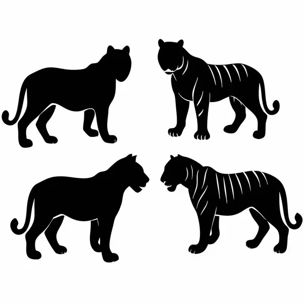 Beyaz arka planda dört siyah kaplan silueti.