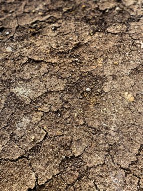 Çatlamış sert bir yüzey, düzensiz dokuları ve doğal erozyon çizgileri olan kuru toprak, kurak araziyi betimliyor..