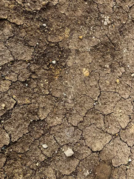Çatlamış sert bir yüzey, düzensiz dokuları ve doğal erozyon çizgileri olan kuru toprak, kurak araziyi betimliyor..