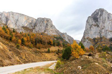 Zenci Bölgesi, Kastamonu, Kre Dağları 'nda yol ve sarı ağaçlı sonbahar manzarası