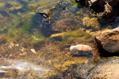 Doğa sularındaki taşlar