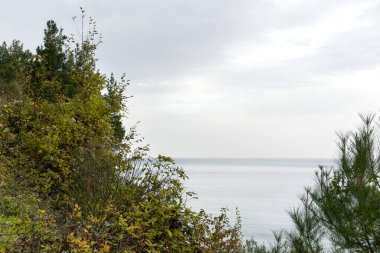 Deniz kıyısının güzel manzarası