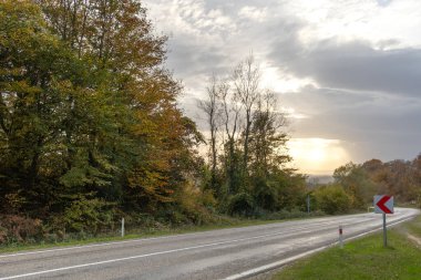 Sonbaharda boş yollar ve ağaçlar