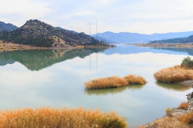 Arkasında bir göl olan güzel bir manzara.