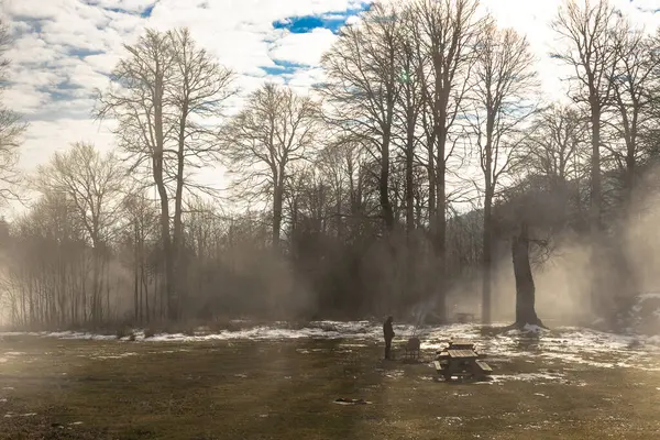 Kar ve ağaçlarla kaplı kış manzarası