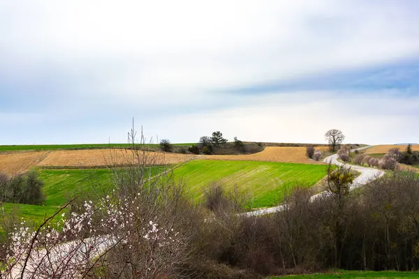 İlkbaharda tarlalı kırsal alan