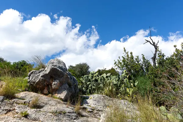 Sardunya 'daki dağın tepesinden manzara, İtalya.