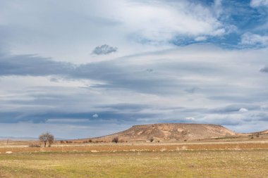Geniş bir çim tarlası ve bulutlu gökyüzü olan güzel bir manzara.