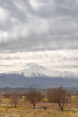 Önünde bir ağaç olan güzel dağ manzarası