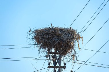 Elektrik direkli bir yuva.