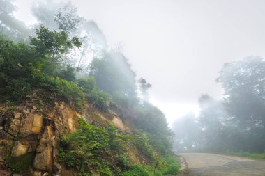 Güzel dağ manzarası ile sis