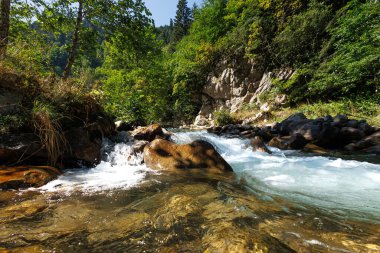 Yaz ormanındaki dağ nehri