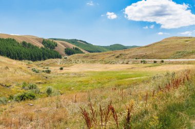 Dağlarda nehri olan güzel bir manzara.