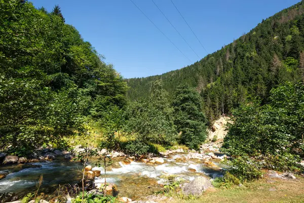 Yazın dağlarda nehir.