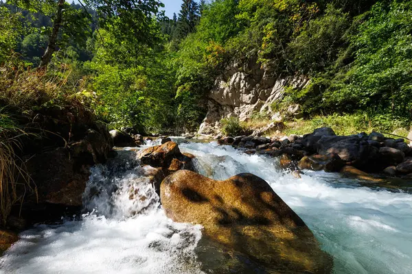 Ormandaki dağ nehri