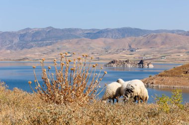Dağlarda ve gemilerde gölü olan güzel bir manzara.