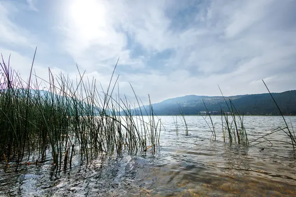 Dağlarda gölü olan güzel bir manzara.