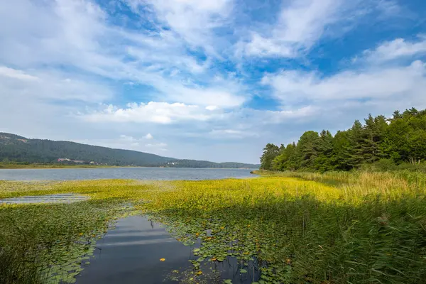 Gölün güzel manzarası
