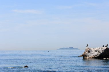 Marmara Denizi 'ndeki kayalıklarda karabataklar ve yunuslar yakınlarından geçiyor ve Yassada resmi olarak arka planda Demokrasi ve Özgürlük Adası olarak adlandırılıyor.