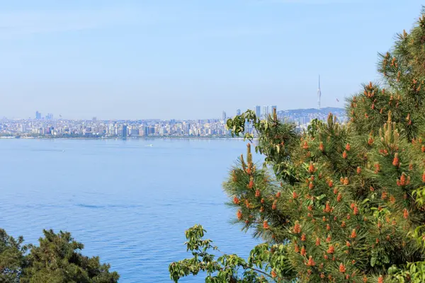 Prens Adaları 'nın Kinaliada' sından İstanbul 'un manzarası