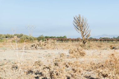 Terkedilmiş bir bölgede kurumuş bir fabrika ve Ege bölgesinin arka planında elektrik nakil hatları, Türkiye