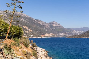 Kas, Antalya, Türkiye kıyı şeridi yakınlarında bir ağaç ve bir yol