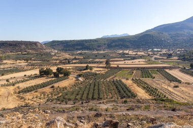 Türkiye 'nin Mugla kırsalında eğri bir yol ve tarım arazisi