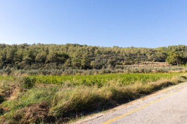 Türkiye 'nin Mugla kentindeki bir çiftliğin manzarası