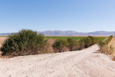 Burdur, Türkiye 'deki çiftliğe giden yol 