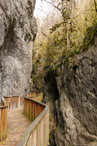 Kanyonda tahta bir köprü ve yakınındaki kayalıklar, Türkiye