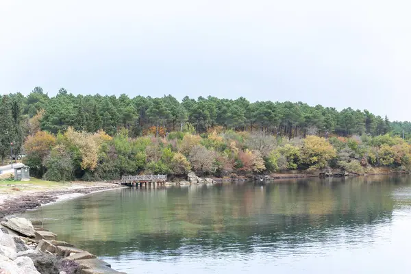 bir sonbahar manzarası ve Karadeniz yakınlarındaki orman, Türkiye