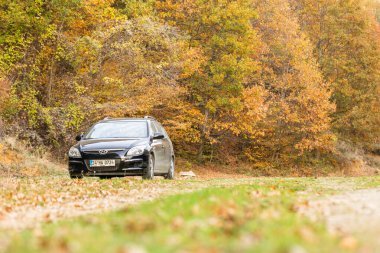 Siyah bir araba Karadeniz ormanı yakınlarındaki renkli ağaçların yanına park ediyor, sonbahar manzarası.