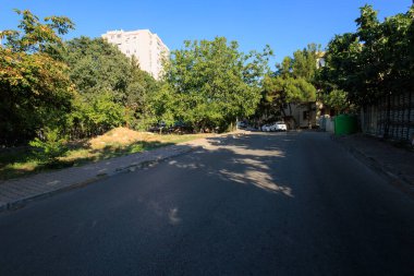 İstanbul, Kadiköy 'de ağaçların arasında bir apartman manzarası