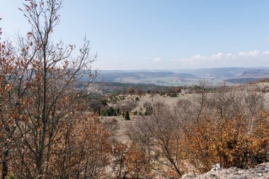 Tepede kurumuş yaprakları olan ağaçlar ve bulutlu gökyüzünün altındaki Frig Vadisi manzarası.