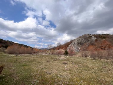 Bulutlu gökyüzünün altında kurumuş yaprakları olan vadi ve ağaçların manzarası.