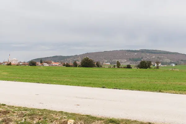 Yol kenarında yeşil bir tarla ve uzakta bir köy.