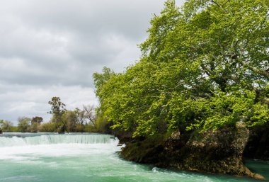 Antalya 'da güzel bir şelalenin yanındaki yeşil ağaç.