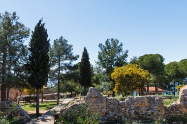 Alanya 'da mavi gökyüzünün altındaki antik harabelerdeki ağaçlar