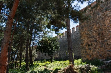 Güneşli bir günde Alanya 'daki eski kale duvarlarının yanındaki ağaçlar