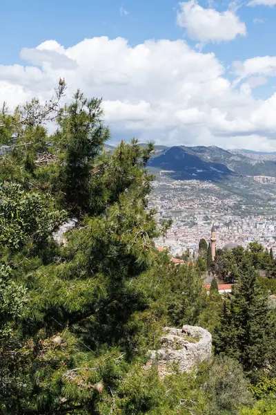 Antalya 'nın Alanya ilçesinden ağaçlar ve güzel şehir manzarası