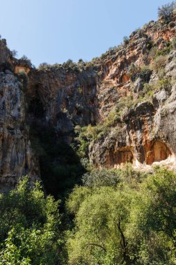 Uçurumun kenarındaki ağaçlar ve güzel doğa manzarası, Mersin.