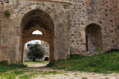 Türkiye 'nin Mersin kentindeki bir Mamure şatosunun antik kapısından gelen yeşil bir ağaç