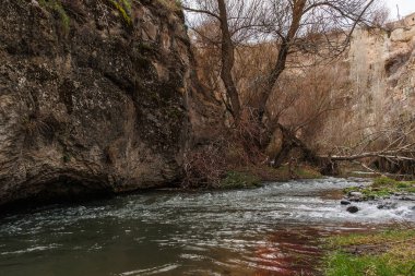 Vadideki akan nehirde kırmızı otlar