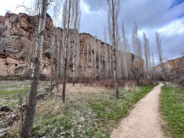 Vadideki ağaçların arasında kirli bir patika.